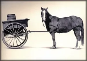Fast Isn’t Always Smart: Why high speed Claims Tech puts the cart before the horse